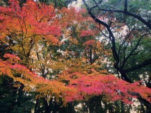 【もう12月！！｜守山区志段味美容室ツムギヘアー】